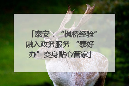 泰安：“枫桥经验”融入政务服务 “泰好办”变身贴心管家