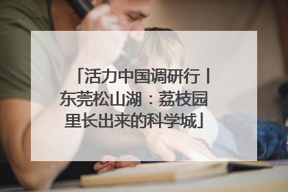 活力中国调研行丨东莞松山湖：荔枝园里长出来的科学城