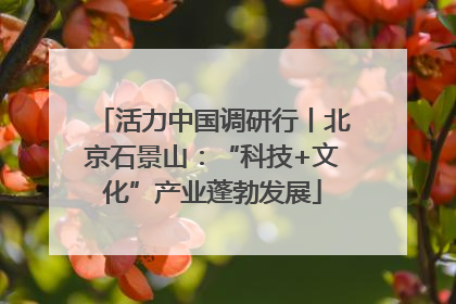活力中国调研行丨北京石景山：“科技+文化”产业蓬勃发展