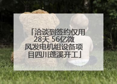 洽谈到签约仅用28天 56亿微风发电机组设备项目四川蓬溪开工