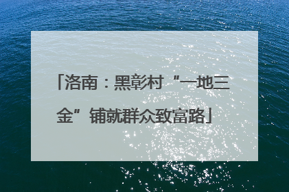 洛南：黑彰村“一地三金”铺就群众致富路