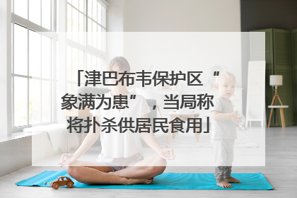 津巴布韦保护区“象满为患”，当局称将扑杀供居民食用