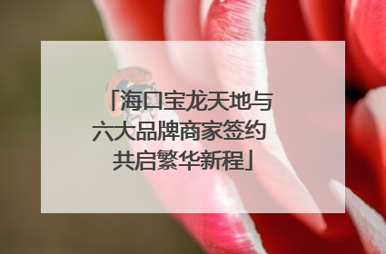 海口宝龙天地与六大品牌商家签约 共启繁华新程