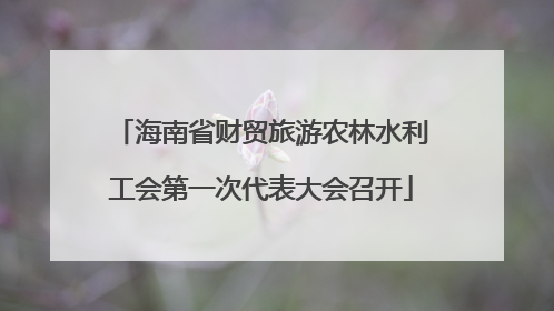 海南省财贸旅游农林水利工会第一次代表大会召开