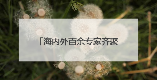 海内外百余专家齐聚武汉 共探数智未来