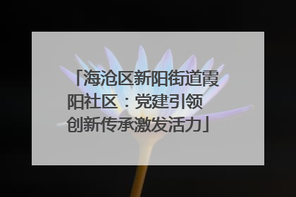 海沧区新阳街道霞阳社区：党建引领 创新传承激发活力