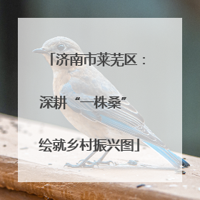 济南市莱芜区：深耕“一株桑” 绘就乡村振兴图