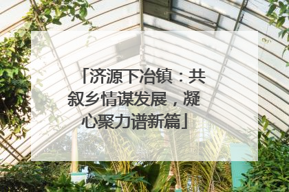 济源下冶镇：共叙乡情谋发展，凝心聚力谱新篇