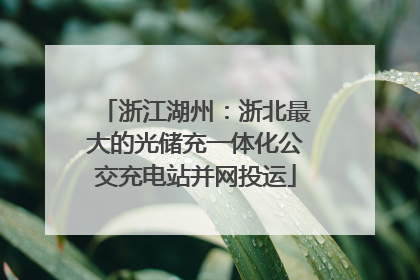 浙江湖州：浙北最大的光储充一体化公交充电站并网投运
