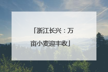 浙江长兴：万亩小麦迎丰收