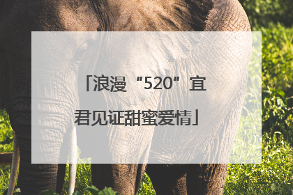 浪漫“520”宜君见证甜蜜爱情