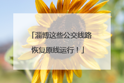 淄博这些公交线路恢复原线运行！