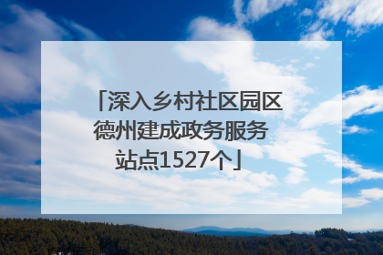 深入乡村社区园区 德州建成政务服务站点1527个