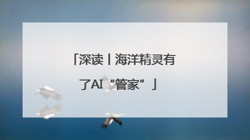 深读丨海洋精灵有了AI“管家”