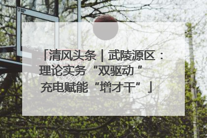 清风头条｜武陵源区：理论实务“双驱动 ” 充电赋能“增才干”