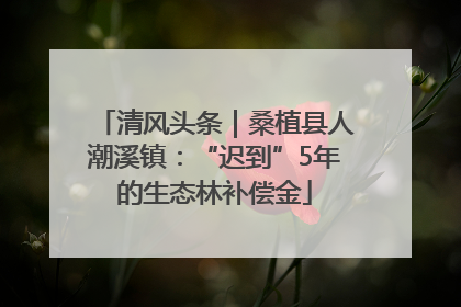 清风头条｜桑植县人潮溪镇：“迟到”5年的生态林补偿金