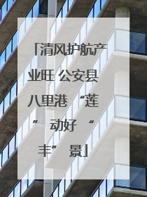 清风护航产业旺 公安县八里港 “莲” 动好 “丰” 景