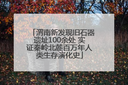 渭南新发现旧石器遗址100余处 实证秦岭北麓百万年人类生存演化史