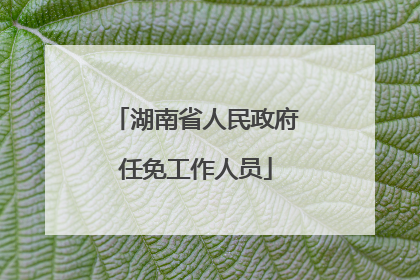 湖南省人民政府任免工作人员
