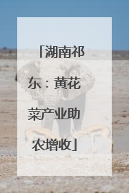 湖南祁东：黄花菜产业助农增收