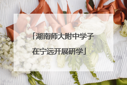 湖南师大附中学子在宁远开展研学
