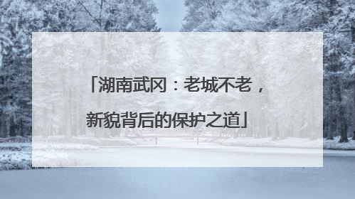 湖南武冈：老城不老，新貌背后的保护之道