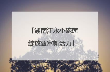 湖南江永小碗莲绽放致富新活力