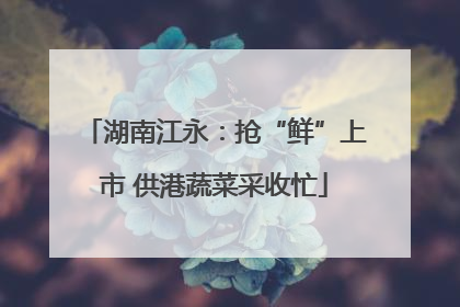 湖南江永：抢“鲜”上市 供港蔬菜采收忙