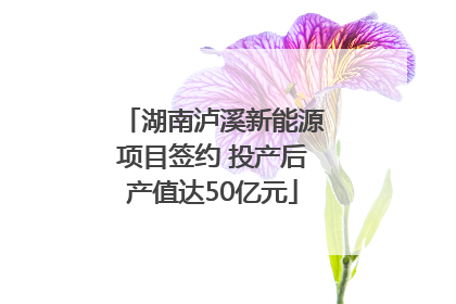 湖南泸溪新能源项目签约 投产后产值达50亿元