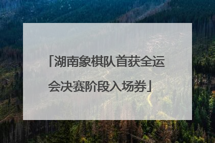 湖南象棋队首获全运会决赛阶段入场券