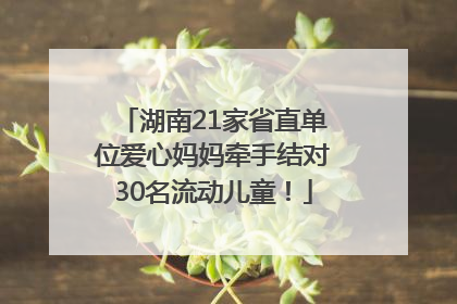 湖南21家省直单位爱心妈妈牵手结对30名流动儿童！