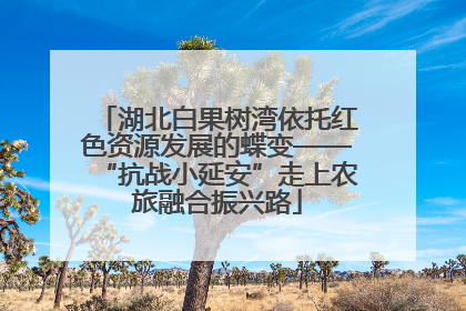 湖北白果树湾依托红色资源发展的蝶变——“抗战小延安”走上农旅融合振兴路