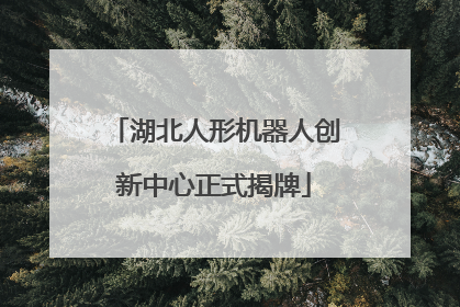 湖北人形机器人创新中心正式揭牌