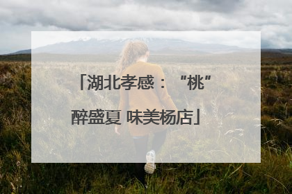 湖北孝感：“桃”醉盛夏 味美杨店