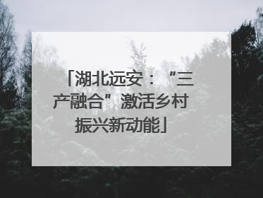 湖北远安：“三产融合”激活乡村振兴新动能