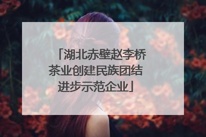 湖北赤壁赵李桥茶业创建民族团结进步示范企业
