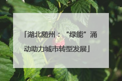 湖北随州：“绿能”涌动助力城市转型发展