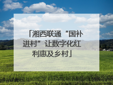 湘西联通“国补进村”让数字化红利惠及乡村
