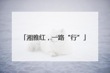 湘雅红，一路“行”