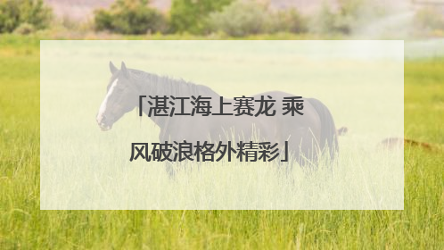 湛江海上赛龙 乘风破浪格外精彩