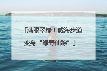 满眼翠绿！威海步道变身“绿野仙踪”