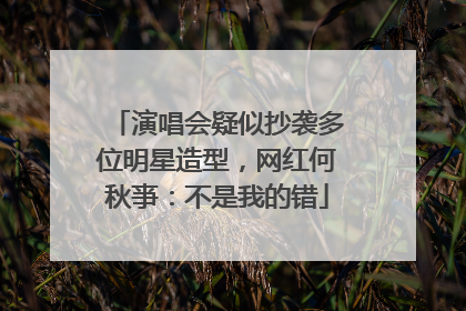 演唱会疑似抄袭多位明星造型，网红何秋亊：不是我的错