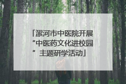 漯河市中医院开展“中医药文化进校园”主题研学活动