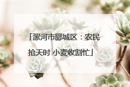 漯河市郾城区：农民抢天时 小麦收割忙
