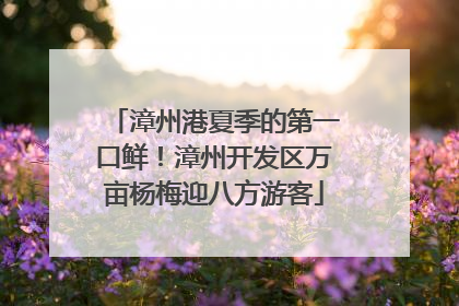 漳州港夏季的第一口鲜！漳州开发区万亩杨梅迎八方游客