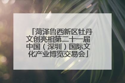 菏泽鲁西新区牡丹文创亮相第二十一届中国（深圳）国际文化产业博览交易会