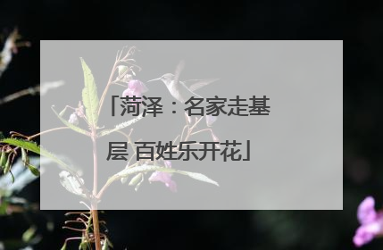 菏泽：名家走基层 百姓乐开花