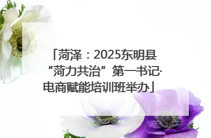 菏泽：2025东明县“菏力共治”第一书记·电商赋能培训班举办