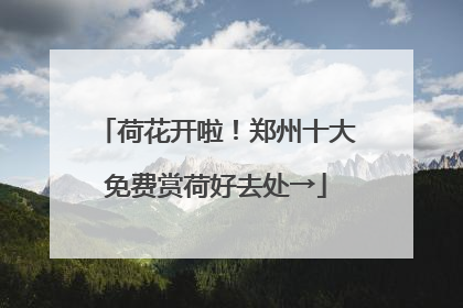 荷花开啦！郑州十大免费赏荷好去处→