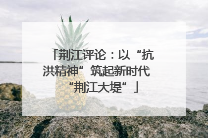 荆江评论：以“抗洪精神”筑起新时代“荆江大堤”